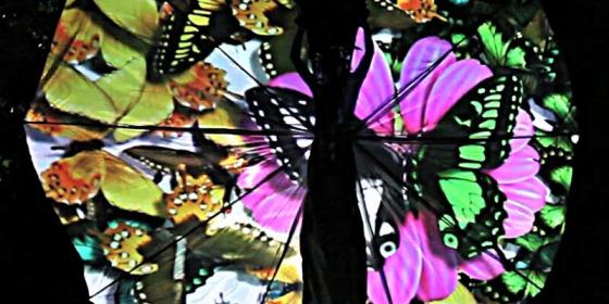 Projections of Butterflies - Corona Events - 
